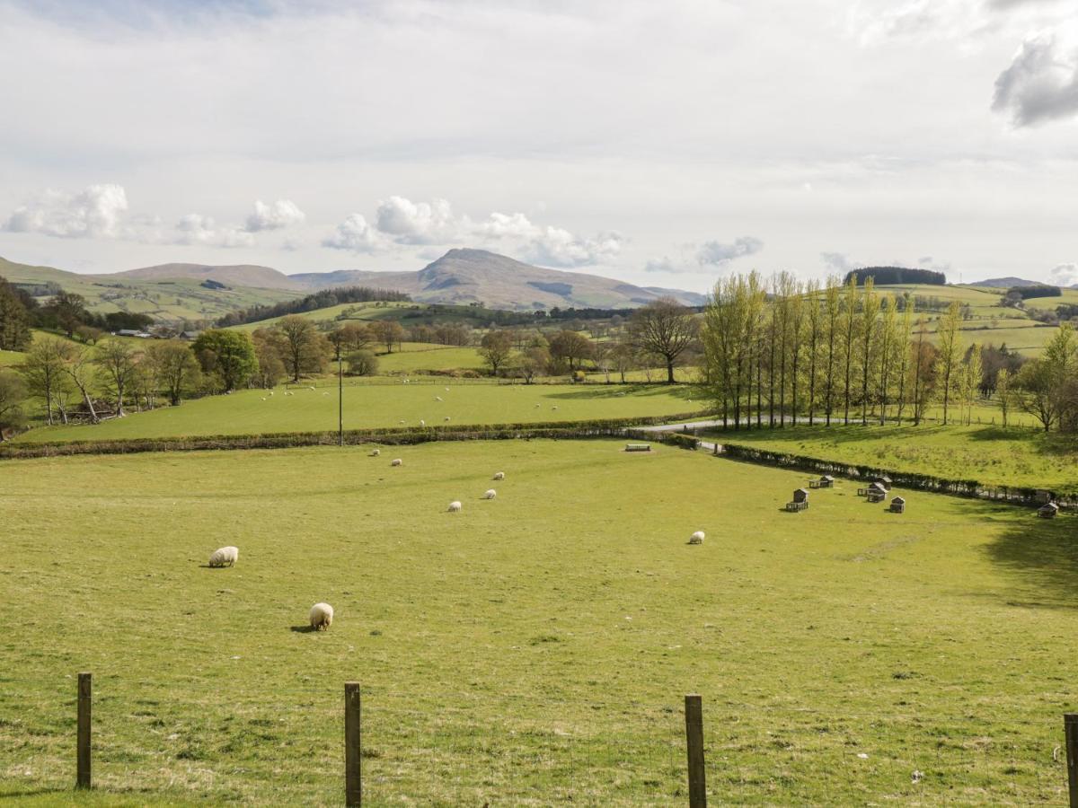 Cyffdy Cottage - Aran Llanycil Zewnętrze zdjęcie